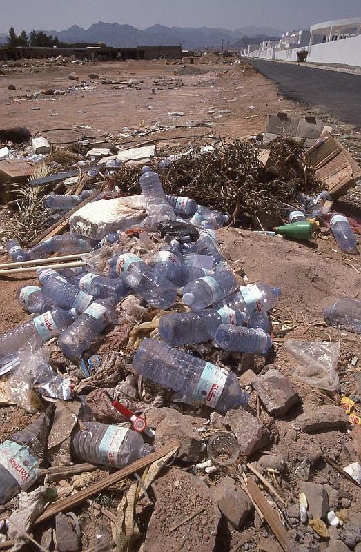 WT 1600 235-06 Egypt.jpg